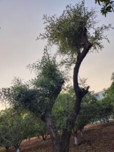 IMG20230208175136