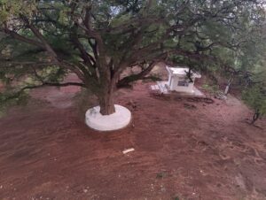 IMG20230318184242