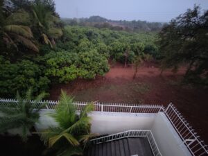 IMG20230318184317